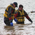 2017 Polar Plunge